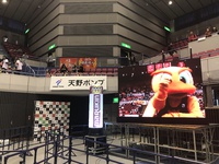 応援に行ってきました。三遠ネオフェニックス・浜松アリーナ 2019/04/01 13:26:27