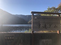 宇連ダム 紅葉を見に 2019/12/06 17:07:40