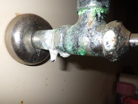 井戸水使用配管漏水 2019/10/30 10:54:07