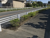 5月草取り 2023/05/17 13:00:58