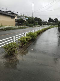 8月草取り 2023/08/09 19:25:11