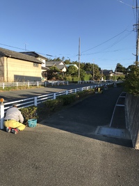 11月草取り 2023/11/17 18:47:13