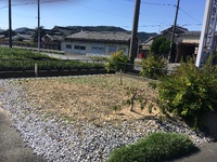 草取り 2022/10/29 13:22:14