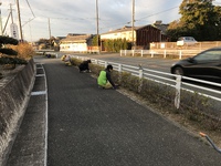 1月草取り
