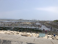 潮干狩り アサリ 白谷海浜公園 2019/04/21 22:53:46