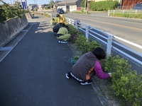 令和元年 ５月 草取り