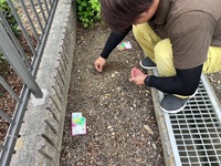 小松菜植えました！！