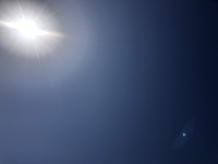 空豆くん育ちました 2019/05/02 11:03:03