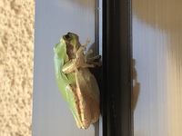 暑い日が続きます 2019/08/11 22:02:21