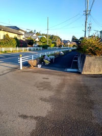 12月草取り 2022/12/17 14:43:43