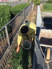 草取り 2022/09/19 09:03:36