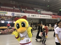 三遠ネオフェニックス　浜松アリーナ　VSサンロッカーズ渋谷 2019/10/20 23:30:29