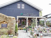 cafe　hana・yasai