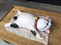 春の旅行♪