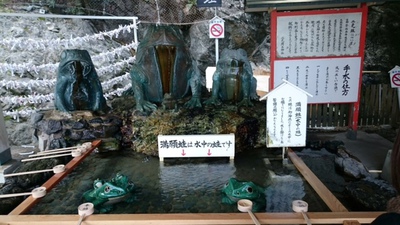 意外と小さかった！