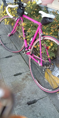 愛車ももこちゃん