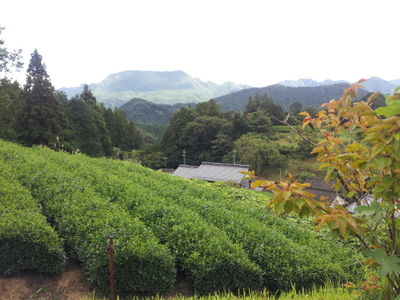 田峰観音