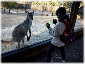 冬の動物園