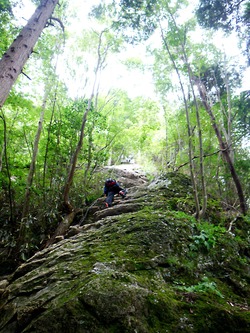 明神山へ