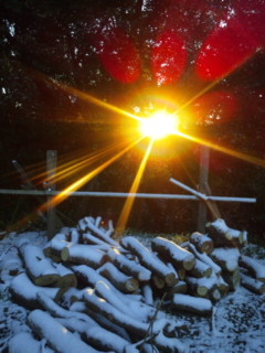昨日の雪