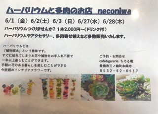 200種類以上の高級カップからお好きなカップを選んでみて