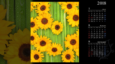 プレゼント情報 壁紙カレンダー ２０１８年８月 花 無料 夏 フラワーギフト通販の花屋 フラワーショップ花夢