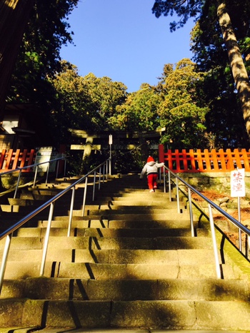 鳳来寺山