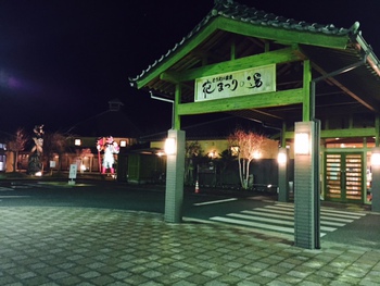 鳳来寺山⇒とうえい温泉花まつりの湯