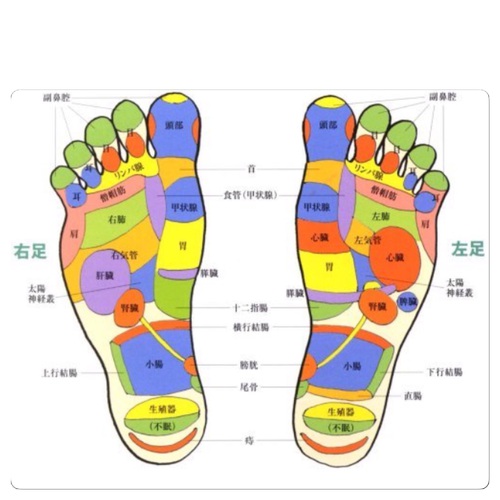 豊橋 冷え取りサロンcoral コーラル 足裏マッサージで腸が動く