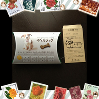 狂犬病とフィラリア♪