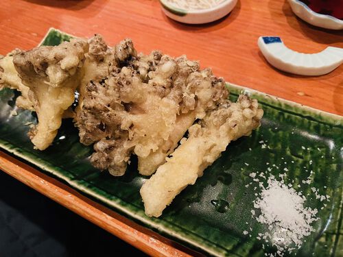 何年振りかのぉ~~? 何年振りかのぉ~~?