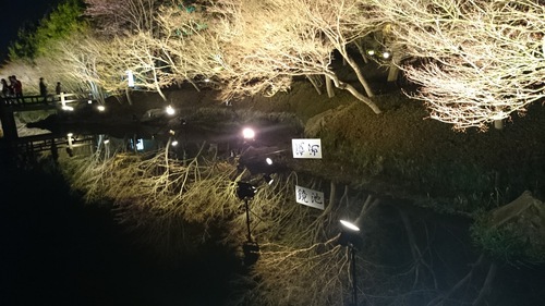 なばなの里　イルミネーション　２０１４