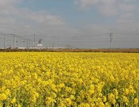 ☆一人癒し旅クイズ☆