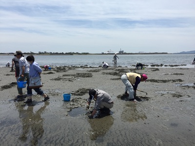 前芝海岸で潮干狩り