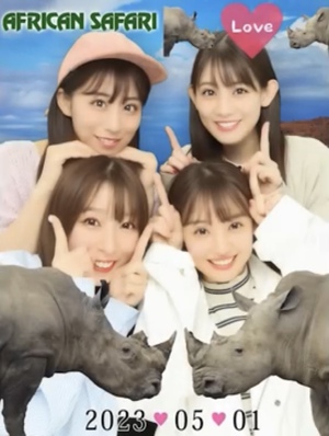 シャチ『アフリカン ドキュメント』