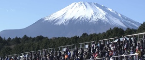 TEAM SHACHI  国歌独唱