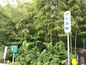 牛渕橋からの風景