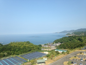 和歌山県初上陸