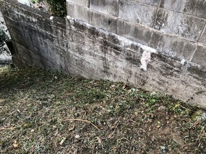 駐車場&土手の草刈