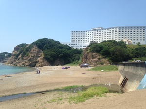 和歌山県初上陸