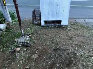 駐車場&土手の草刈