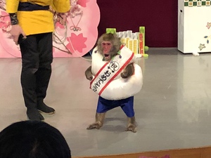 ニャンニャンニャン2018《4》