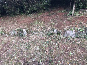 駐車場&土手の草刈