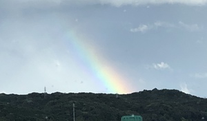 夕方の虹