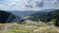 《モトブログ》四谷千枚田