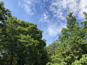 小幡緑地にて散策