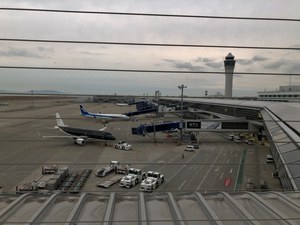 愛知・知多半島マーケット2020