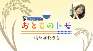 おとものトモ『日本一辛い ふりかけ』