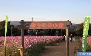 市民としてはラストの…