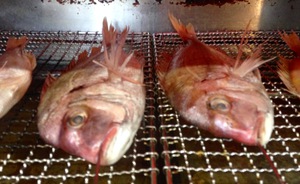大晦日は魚屋サン！